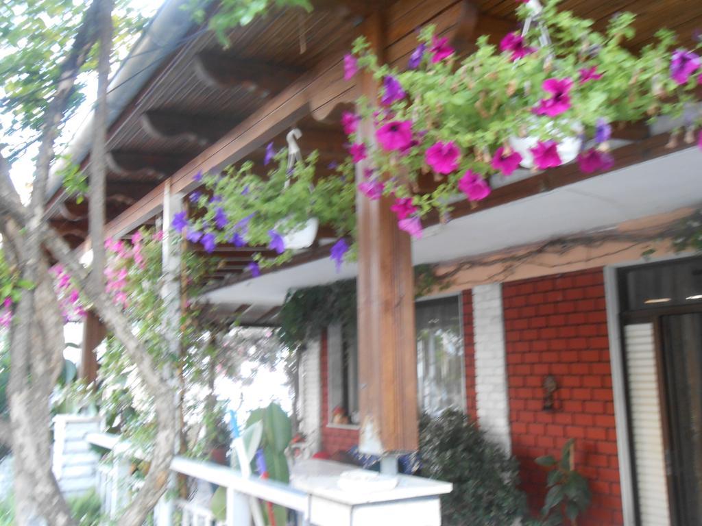 Hotel Germany Paralia Katerinis Exterior photo