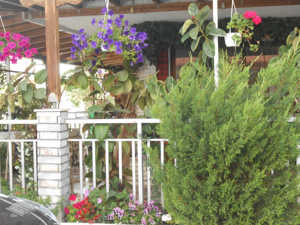 Hotel Germany Paralia Katerinis Exterior photo